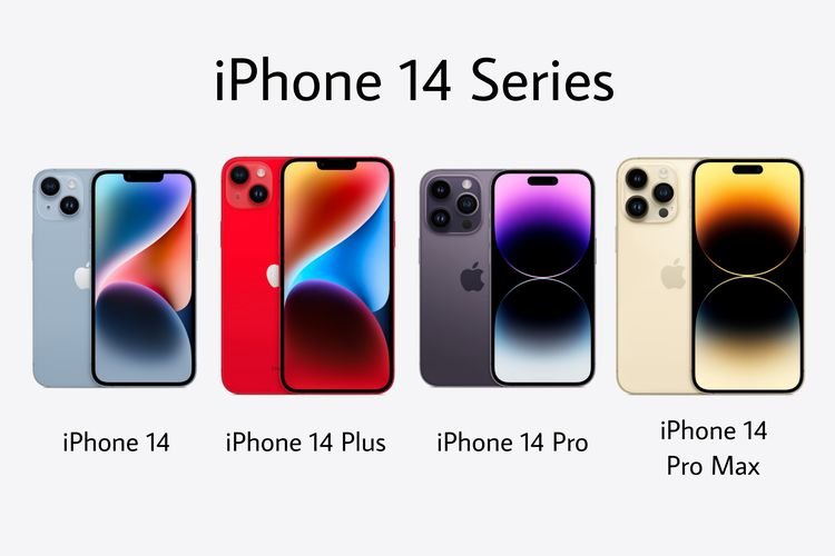 iPhone 14 series showcasing all the models