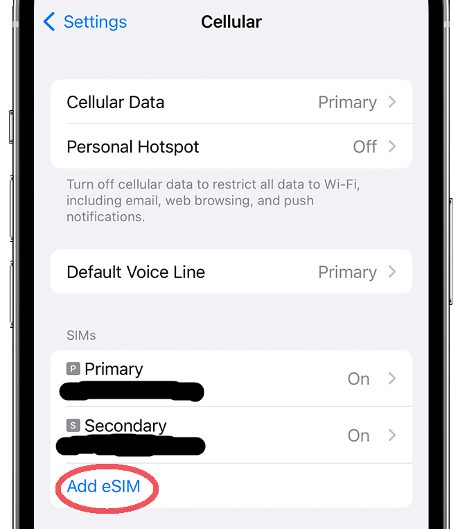 Iphone Esim Option
